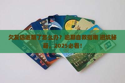 欠友信逾期了怎么办