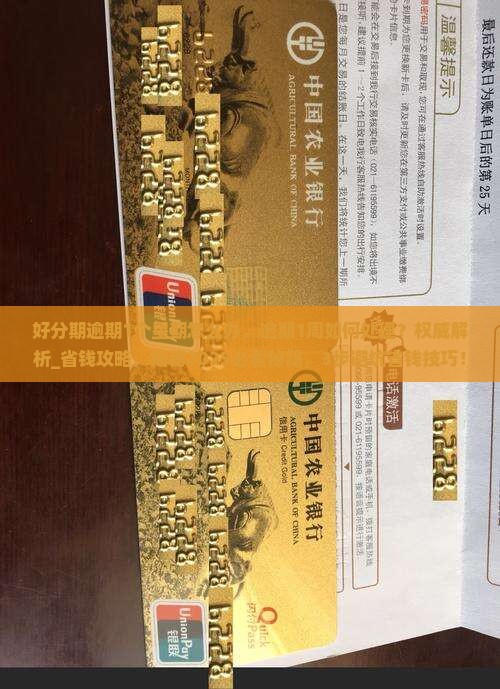 好分期逾期1个星期怎么办