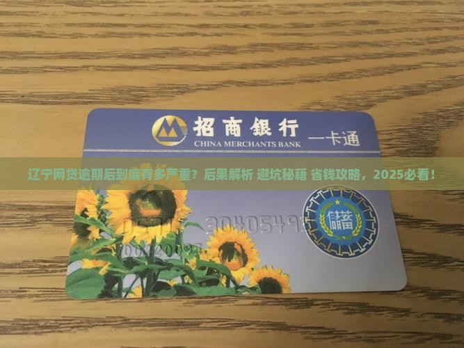 辽宁网贷逾期后的后果有哪些