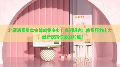 北银消费贷本金减免多少