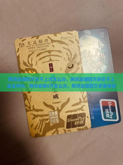 网贷逾期四万还不上该怎么办