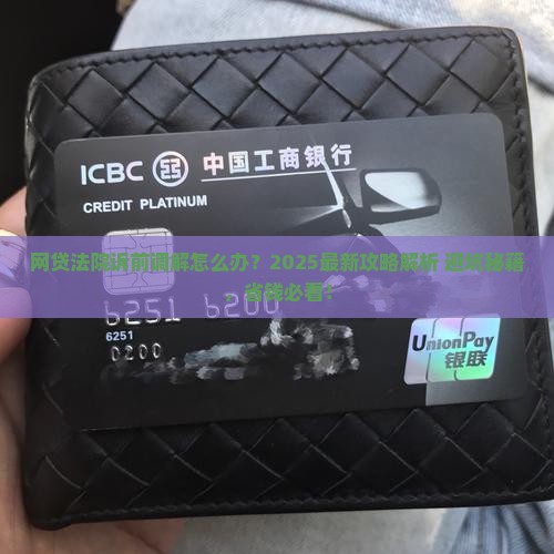 网贷法院诉前调解怎么办