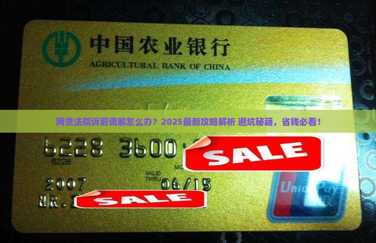 网贷法院诉前调解怎么办