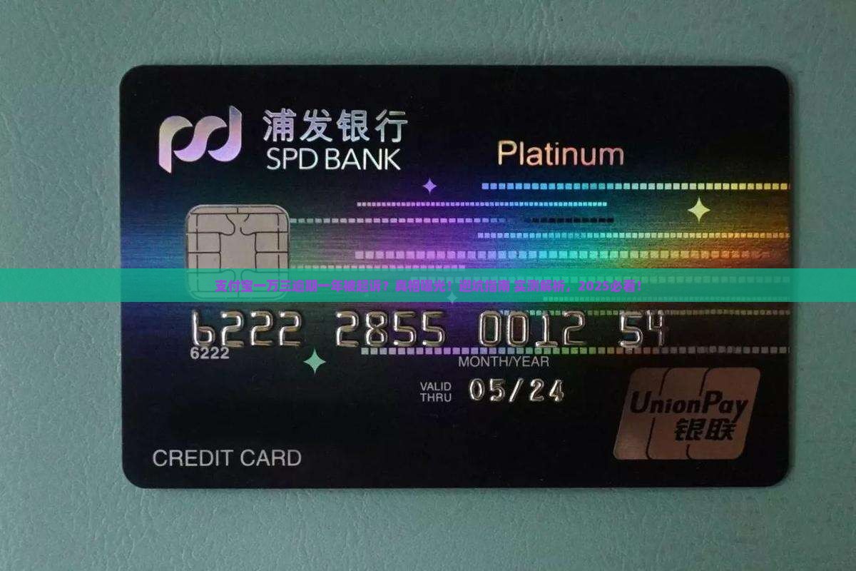 支付宝一万三逾期一年起诉
