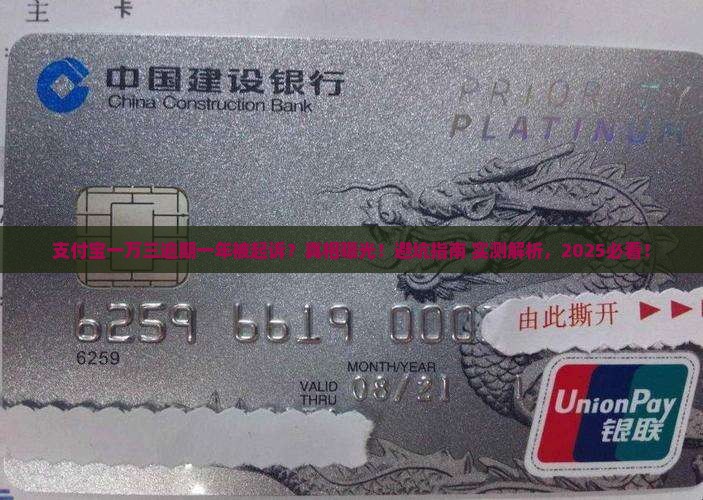 支付宝一万三逾期一年起诉