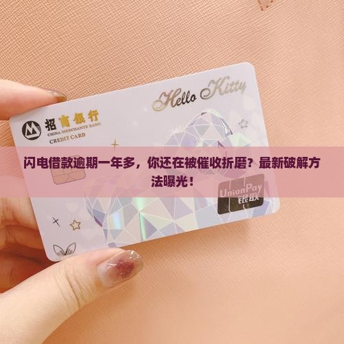 闪电借款逾期一年多