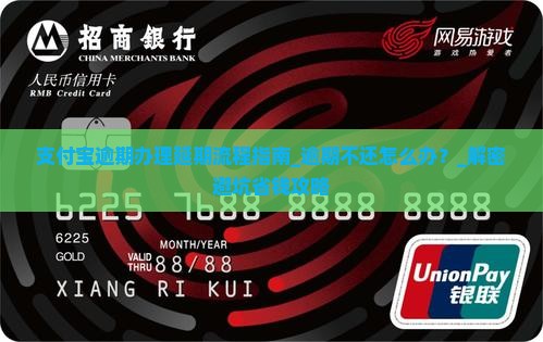 支付宝逾期办理延期流程指南