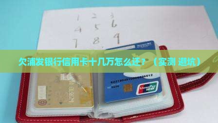欠浦发银行信用卡十几万如何还款