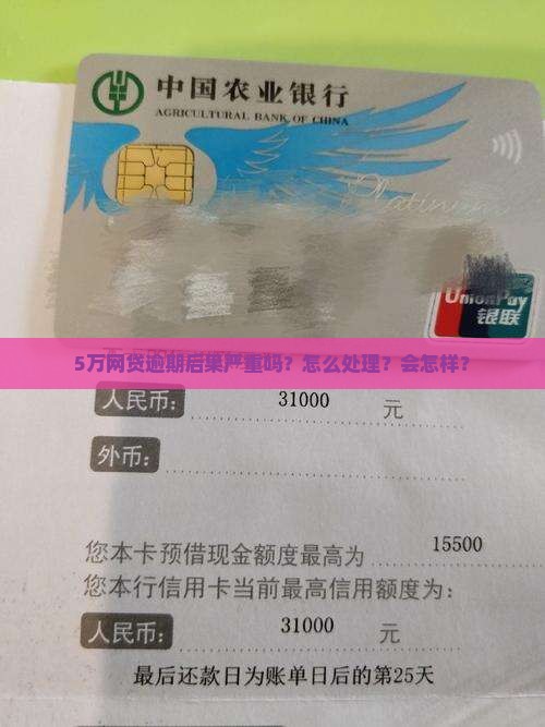 5万网贷逾期后果严重吗