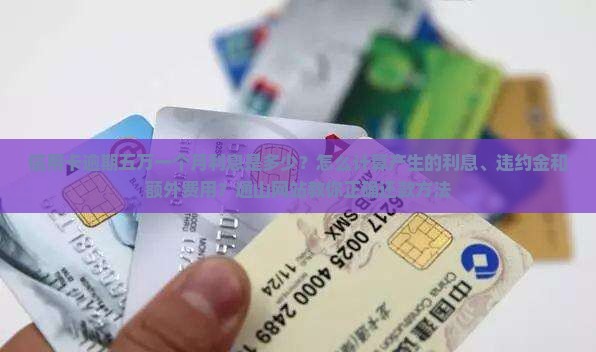 信用卡5万逾期一个月利息多少