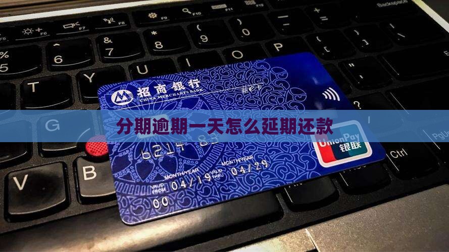 好分期逾期了一天怎么办延期还款