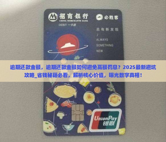逾期还款金额