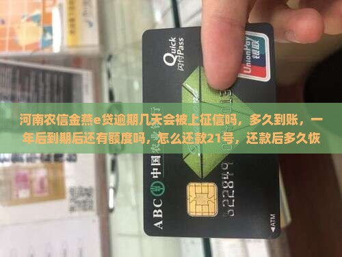 河南农信金燕e贷逾期几天会被上征信吗