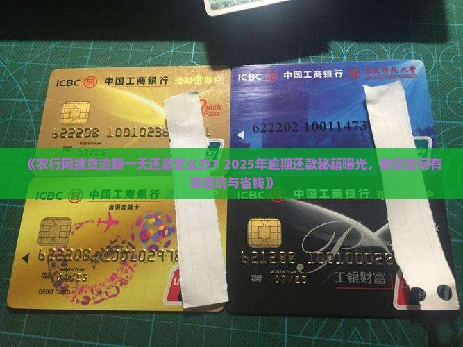 农行网捷贷逾期一天还款怎么办