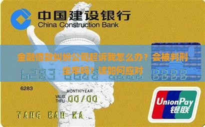 金融借款纠纷公司起诉我怎么办