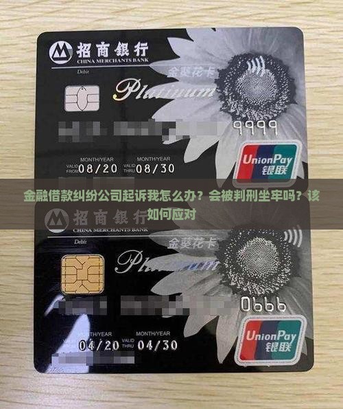 金融借款纠纷公司起诉我怎么办