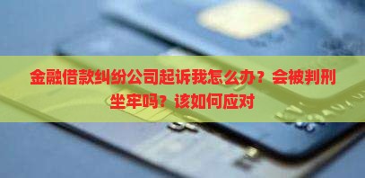 金融借款纠纷公司起诉我怎么办