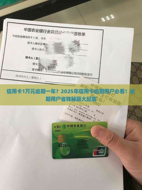 信用卡1万元逾期一年情况及应对措施
