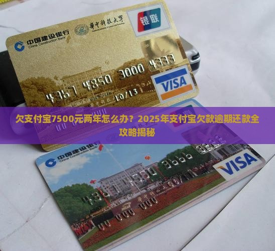 欠支付宝7500元两年怎么办