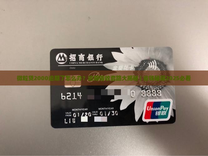 微2000逾期逾期催收方法 微2000逾期逾期催收方法