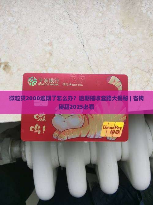 微2000逾期逾期催收方法 微2000逾期逾期催收方法