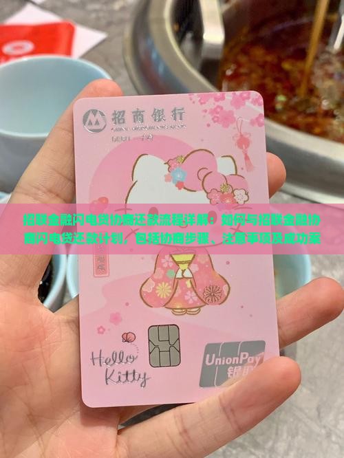 招联金融闪电贷协商还款流程详解