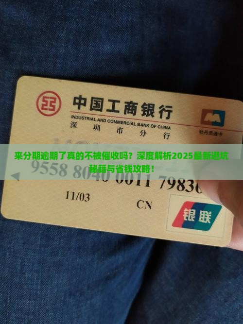 来分期逾期了不被催收