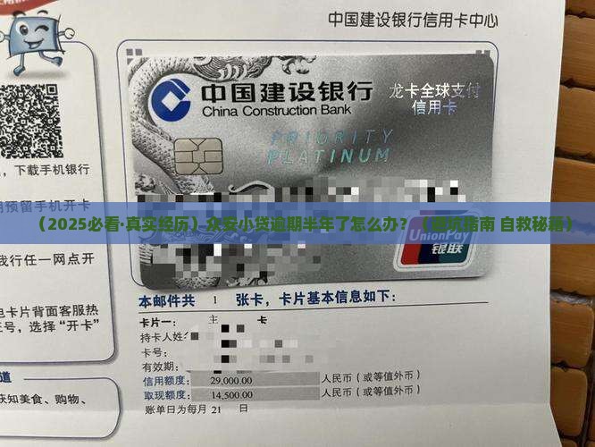众安小贷逾期半年如何处理