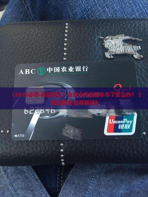 众安小贷逾期半年如何处理