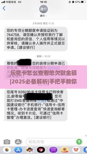 乐花卡怎么查看总欠款金额