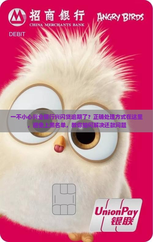 兴闪贷逾期会怎么处理