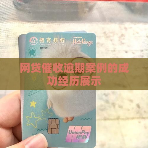 网贷催收的成功经历有哪些案例展示