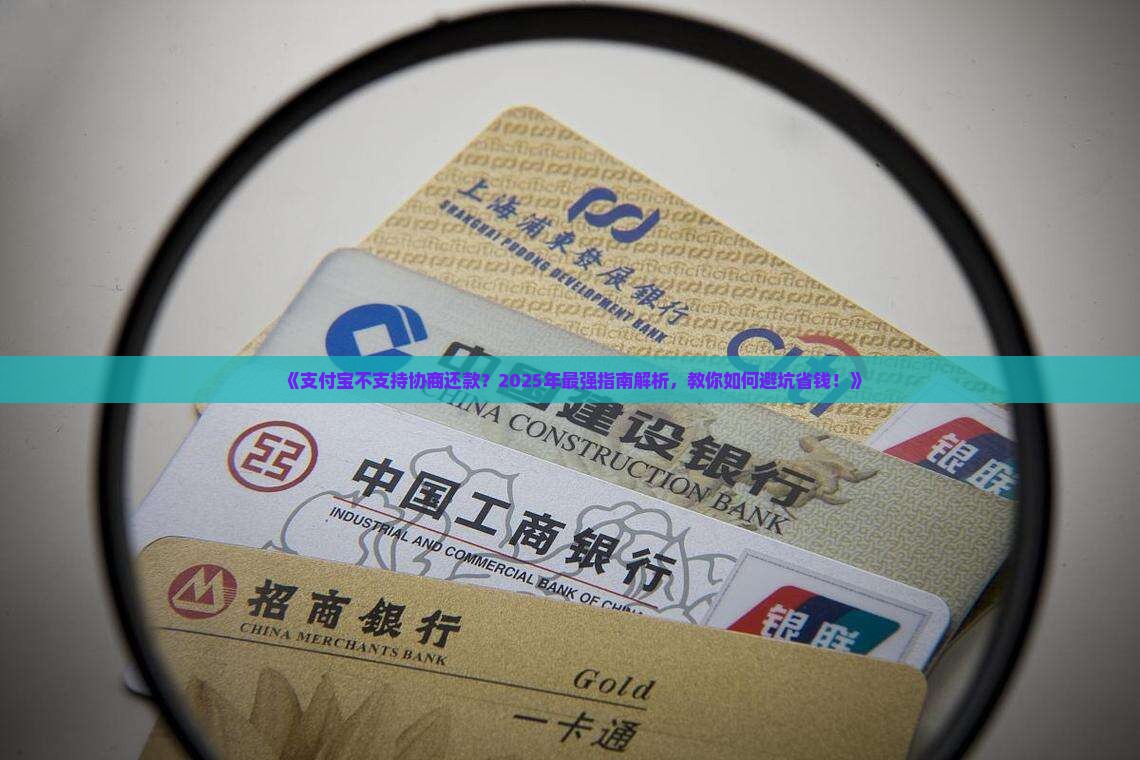 支付宝不可以协商还款吗该怎么办