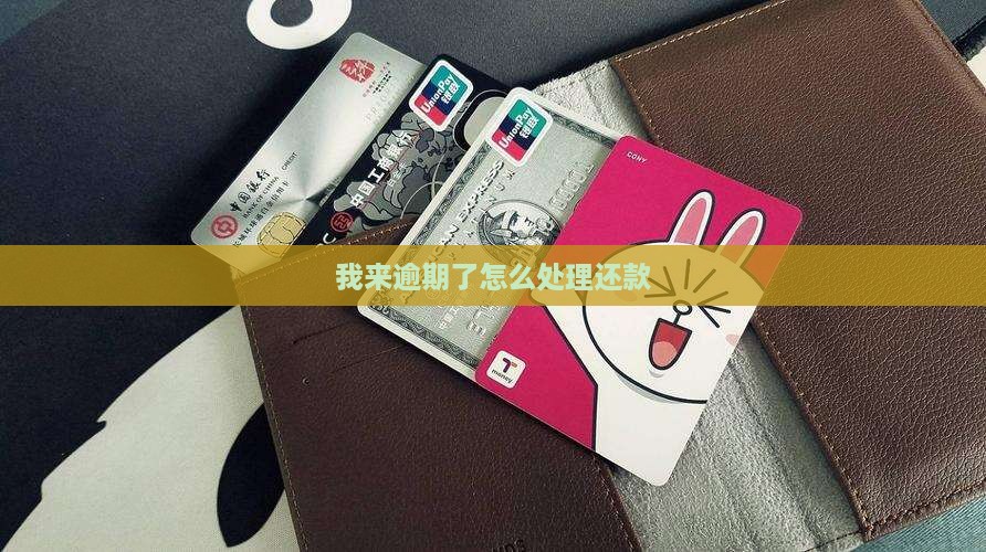 我来贷逾期还款应该如何处理