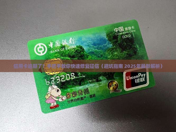 个人征信中信用卡逾期如何处理