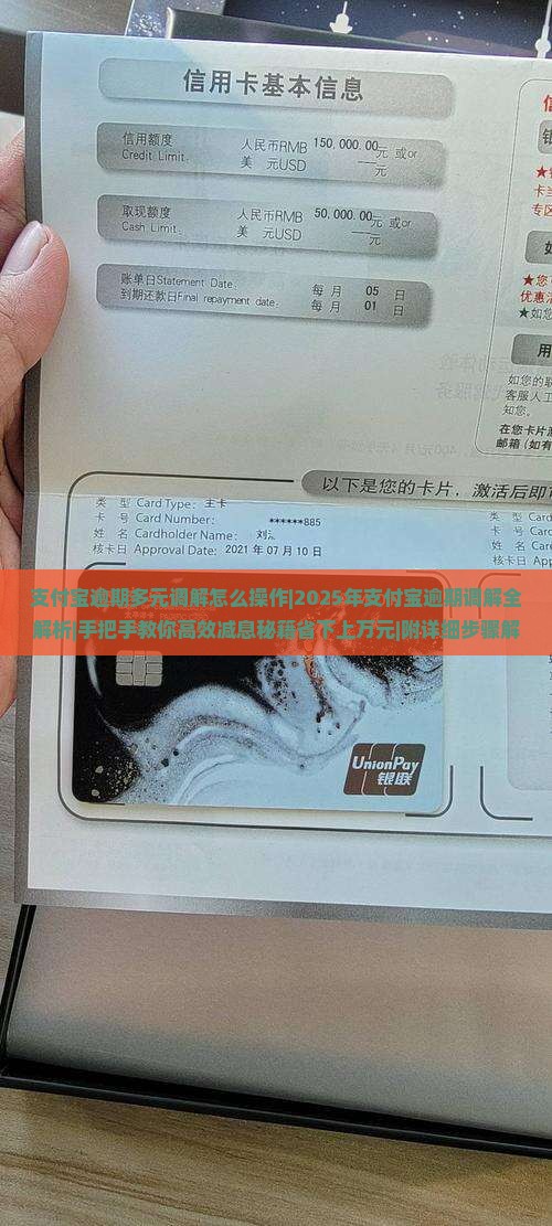 支付宝逾期多元调解怎么操作