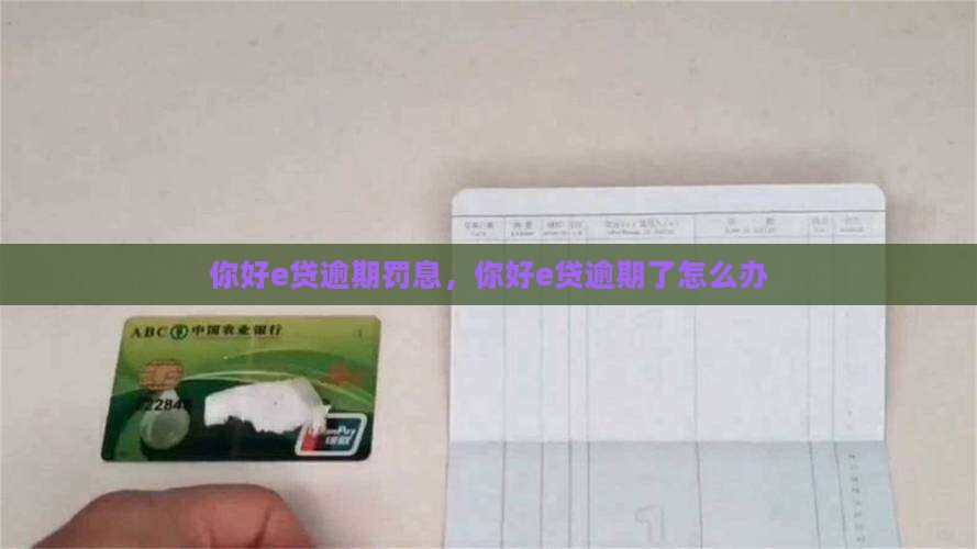 你好e贷逾期罚息