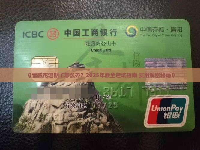 普融花逾期流程