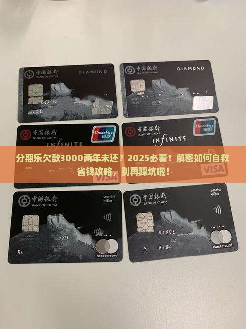 分期乐欠了3000块两年没还如何处理