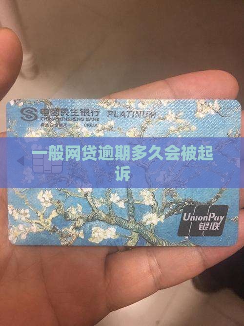 法院调解网贷逾期多久会被起诉的具体时间