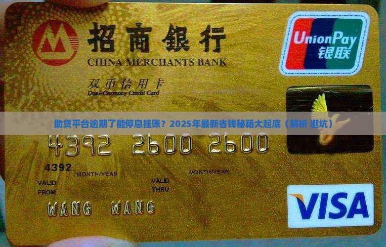 助贷平台逾期停息挂账