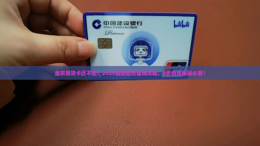 金农易贷卡无力还债怎么办
