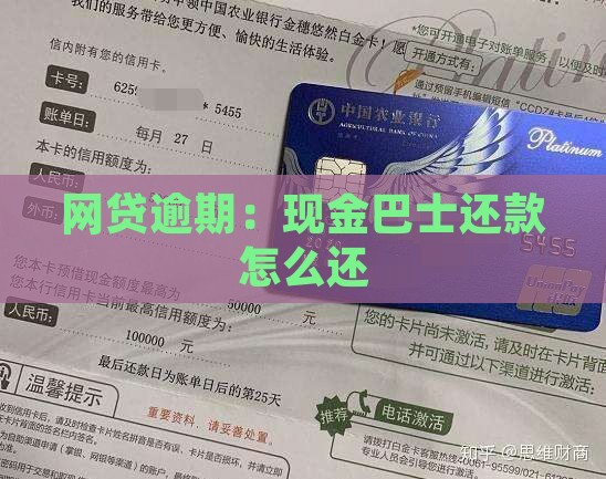 网贷逾期现金巴士还款怎么还
