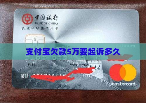 支付宝欠款5万要起诉多久 支付宝欠款5万要起诉多久