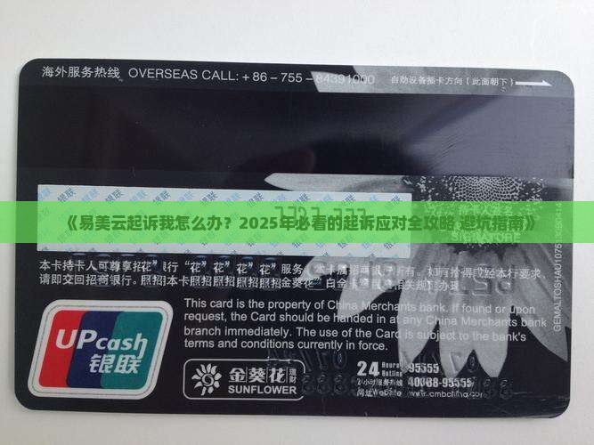 易美云起诉我怎么办