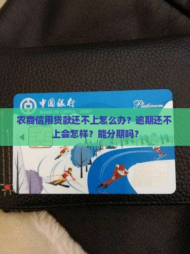 农商信用贷款还不上怎么办