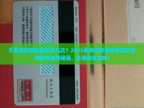 天星金融能延期还款几次