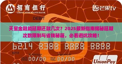 天星金融能延期还款几次