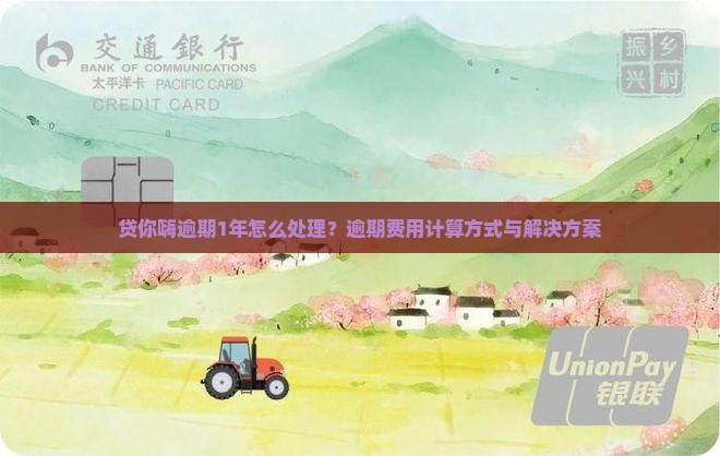 贷你嗨逾期1年怎么处理