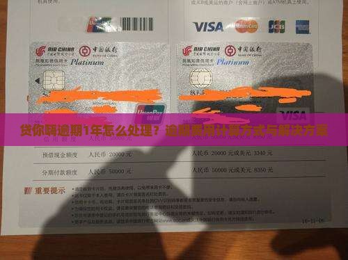 贷你嗨逾期1年怎么处理